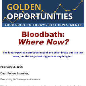 Screenshot of the beginning of the article